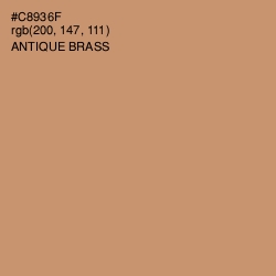 #C8936F - Antique Brass Color Image